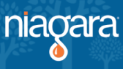 Niagara Logo