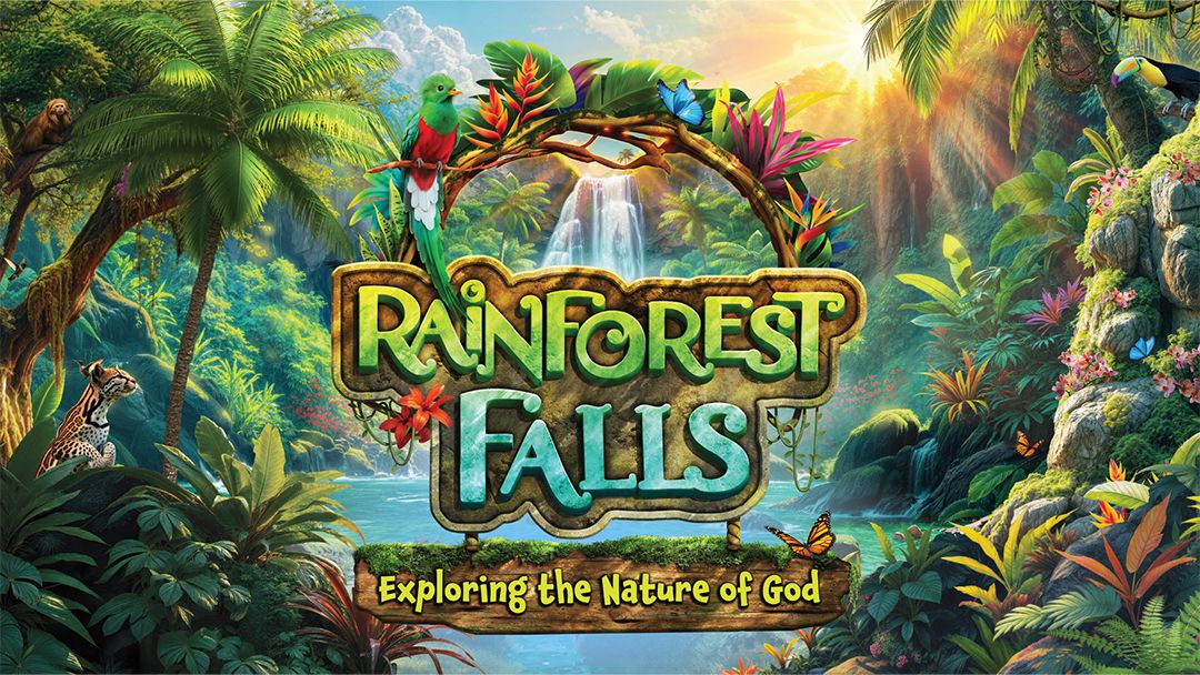 Rainforest Falls graphic